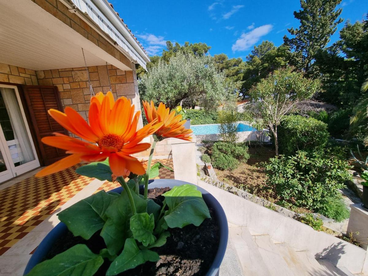 Villa Ilaria Μπολ Εξωτερικό φωτογραφία